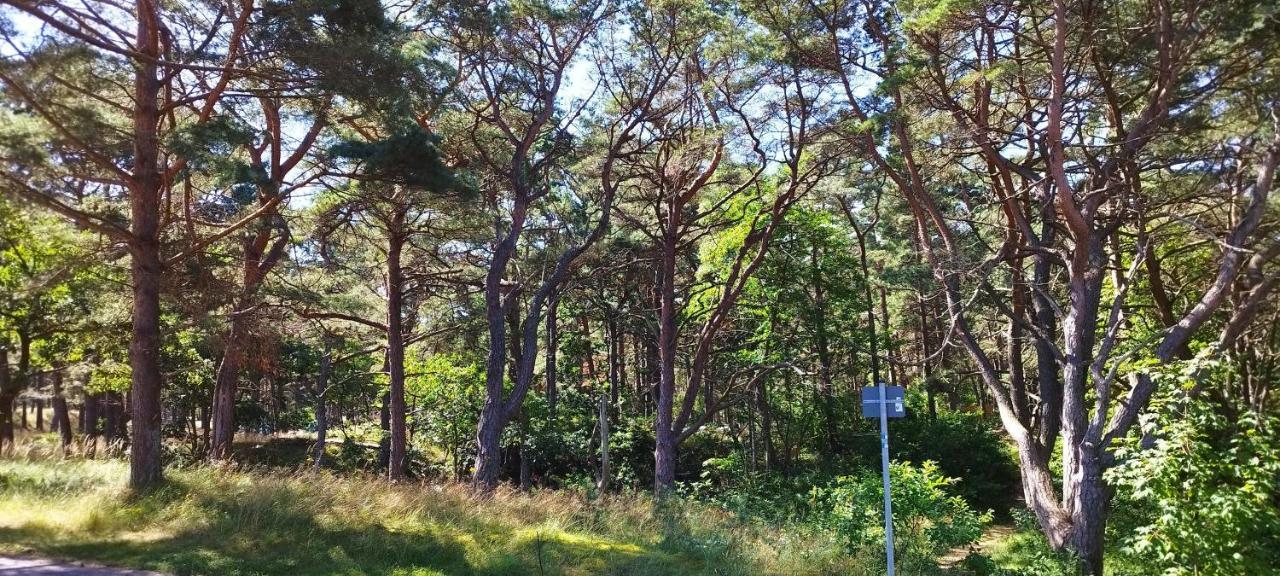 Traumblick Sellin: Spacious Beachside Apartment with Pool and Sauna Goehren  Exterior photo