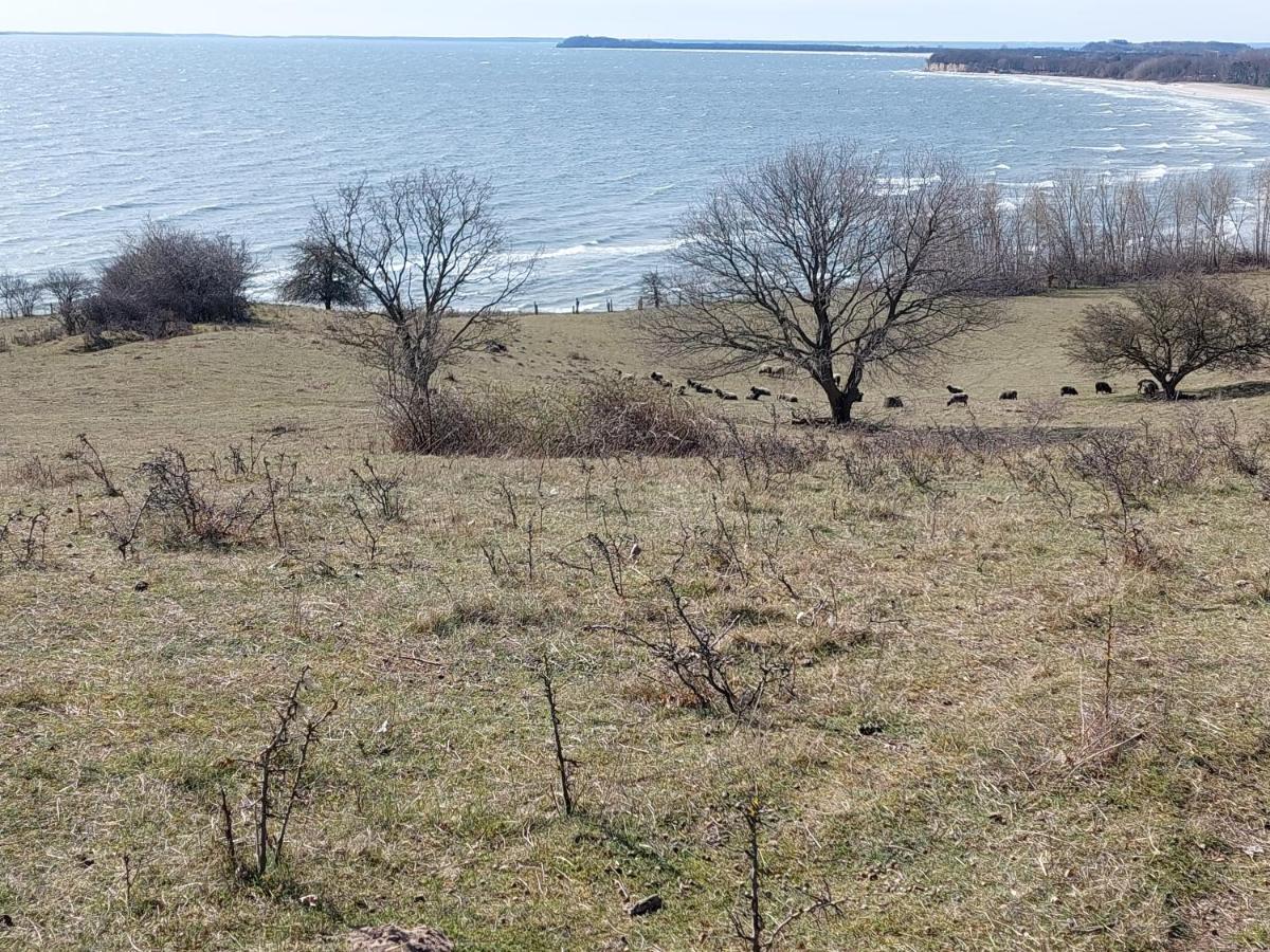 Traumblick Sellin: Spacious Beachside Apartment with Pool and Sauna Goehren  Exterior photo