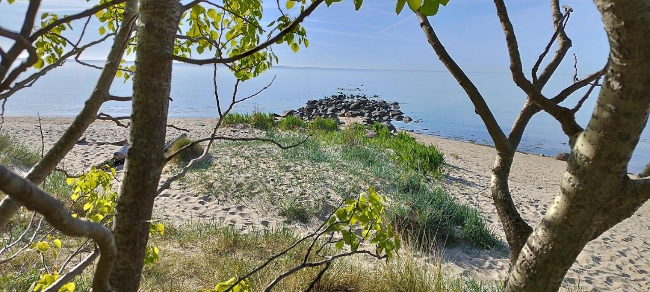 Traumblick Sellin: Spacious Beachside Apartment with Pool and Sauna Goehren  Exterior photo